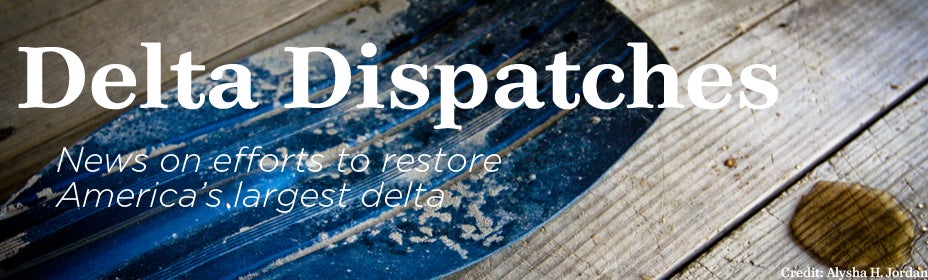 Delta Dispatches paddle FINAL 2