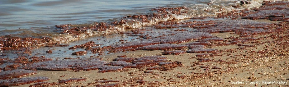 oiled beach for Clean Water Act page oiled beach for Clean Water Act page