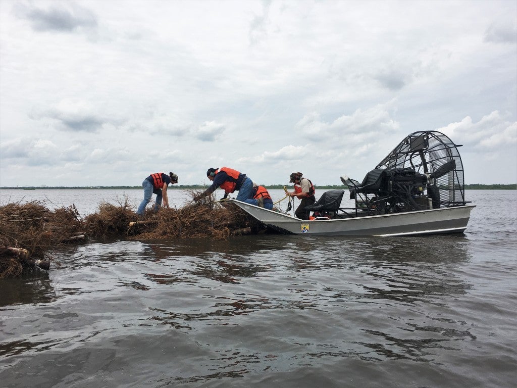 U.S. Fish and Wildlife Service helps position the trees.