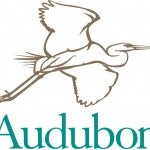 Audubon Web stacked color