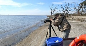 Bird surveys provide valuable data to scientists_ Karen Westphal