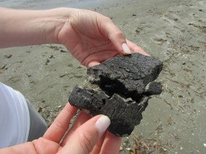 A tar ball on East Grand Terre Island, Louisiana (March 31, 2015).