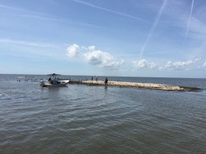 Once a lush, thriving mangrove island, Cat Island now small, gray and lifeless.