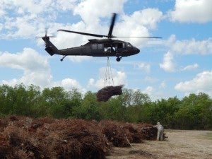 Black Hawk helicopter drops Christmas trees onto marsh.