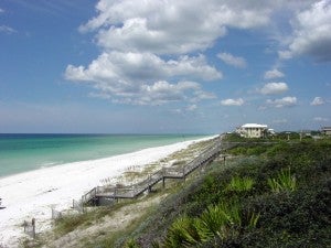 EDF photo beach dune