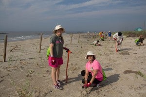 Two ladies planting in pink