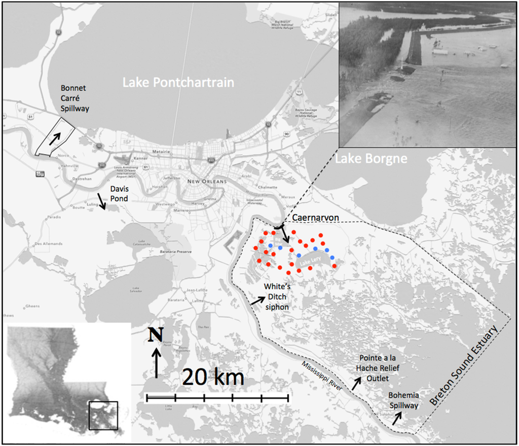 Figure 2. The Breton Sound Estuary. Dots indicate where core samples were taken and the approximate area of the crevasse splay deposit based on researchers measurements. Blue dots indicate cores that has additional analysis carried out. Upper right inset: aerial photo showing Mississippi River flowing through the 1927 Caernarvon levee breach. Dark black line at hte site of the crevasse is the estimated width of the levee breach.