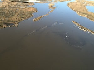 Aerial view of new land forming in Uhlan Bay. ©Richie Blink January 29, 2016.