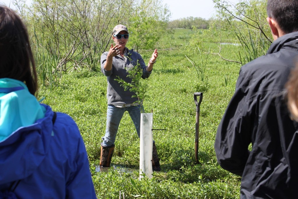 CRCL Habitat Restoration Project Coordinator Brittany Boyke training volunteers to plant saplings.