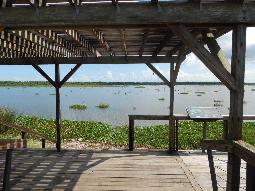 Beautiful viewing platform overlooking the Wetland Triangle.