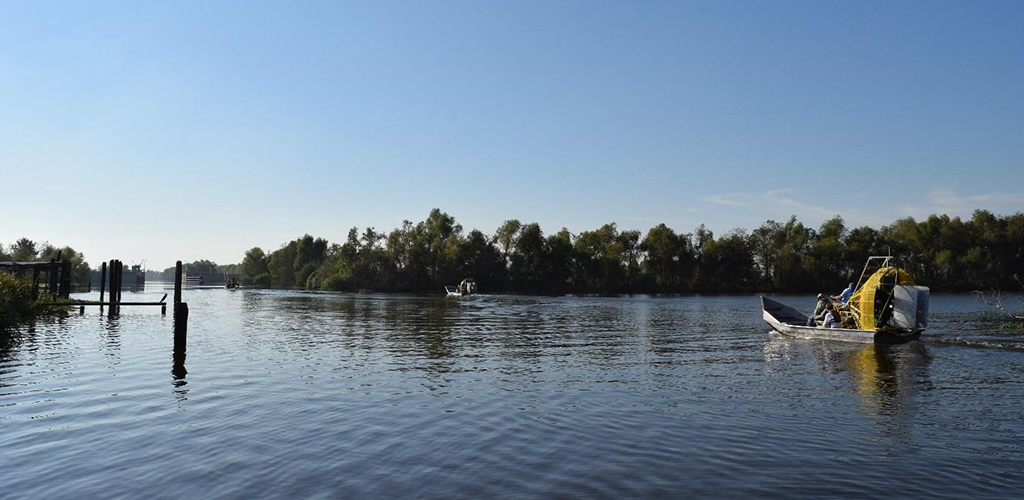 The group used airboats to tour Lake Cataouatche and Davis Pond in upper Barataria Bay. Photo by Samantha Carter 