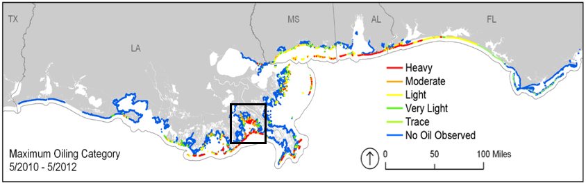Map of extent and degree of maximum shoreline oiling from the Deepwater Horizon oil disaster. The black box indicates Barataria Bay, La. From Michel et al. 2013: http://journals.plos.org/plosone/article?id=10.1371/journal.pone.0065087