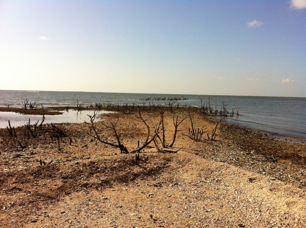 8th Graders Present Project to Louisiana House on Coastal Restoration