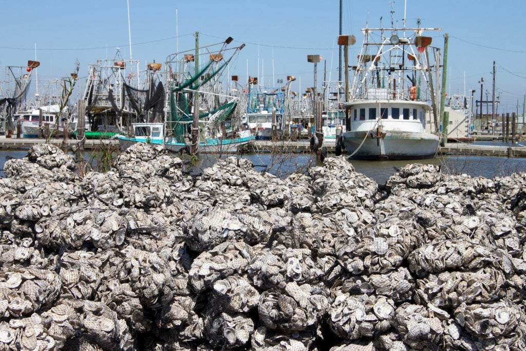 Completed bags of oysters along the Buras Harbor.