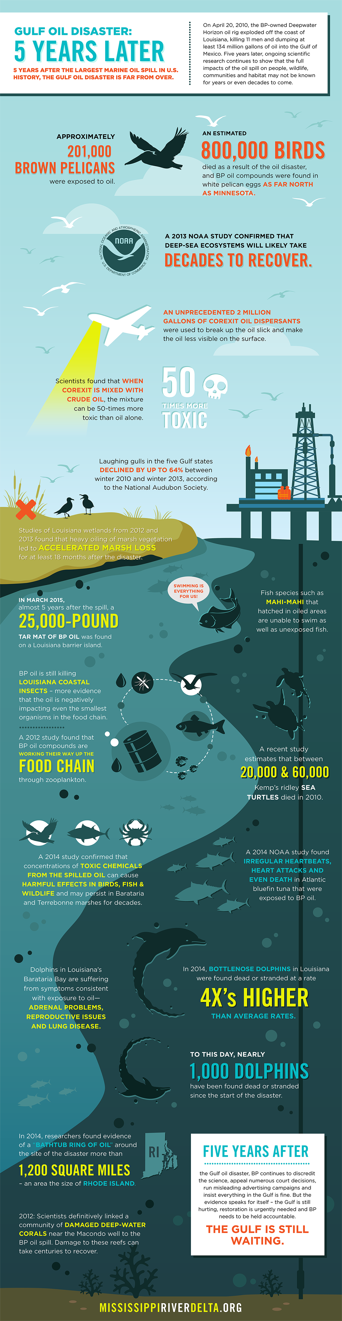 Gulf Oil Disaster: 5 Years Later Infographic
